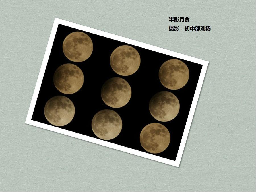 半月月食--刘杨.jpg