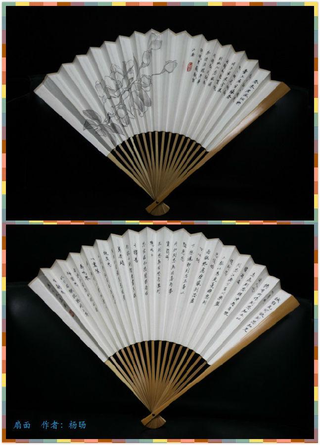 扇子-杨?D.jpg