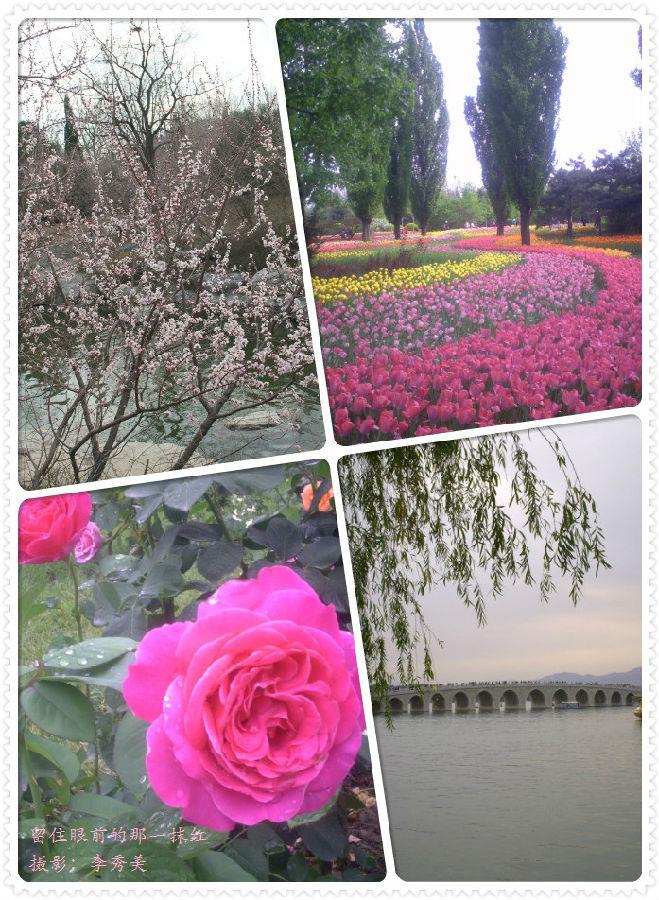 花儿怒放-李秀美.jpg