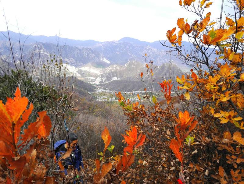 风景.jpg