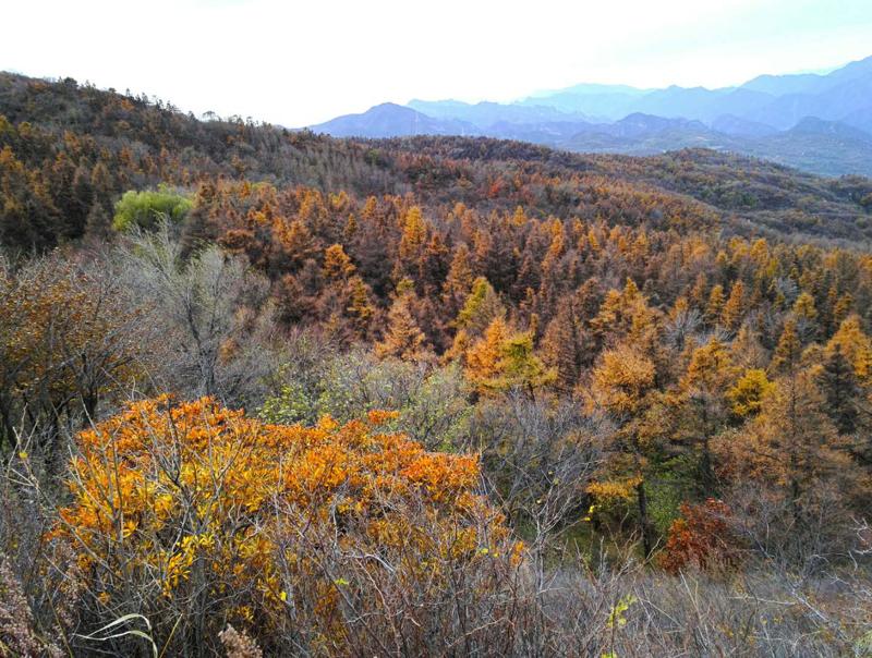 山顶风景.jpg