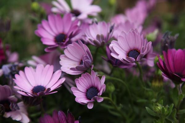 IMG_6600_调整大小.JPG